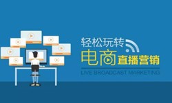 软件开发公司、做一个直播系统软件开发需要多少钱-重庆软件外包公司